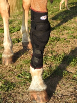 7266-TSM-Polsterbandage-Vorderfusswurzelgelenk-rechts.jpg