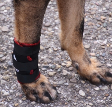 7501-TSM-Bandage-Vorderbein-beidseitig-verwendbar-1-n.jpg