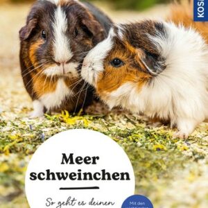 Meerschweinchen