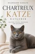 Chartreux Katze Ratgeber - Kartäuser Katze – Schulte, Hildegard
