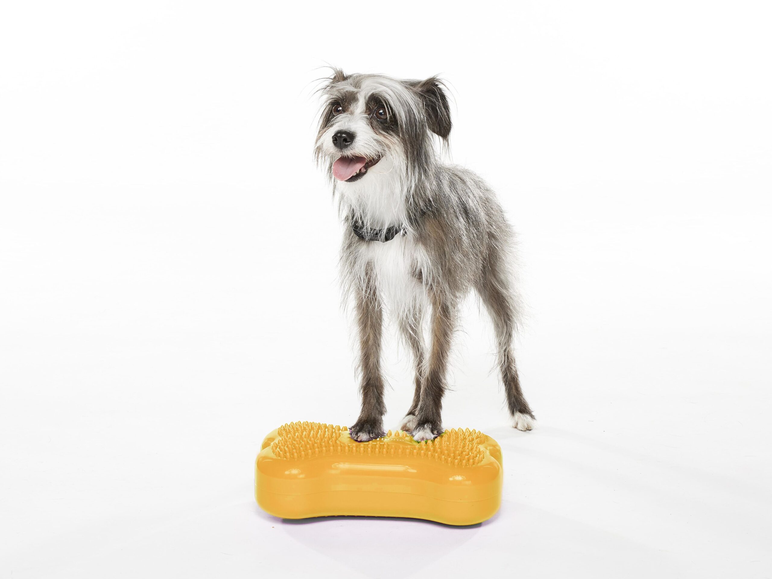 Crouton_FitBone_Mini_1032-edit-MANGO-min.jpg