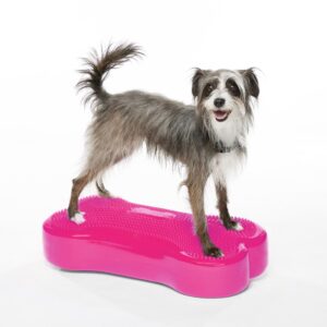 K9FITbone razzleberry – FitPAWS | 58.5x29x10 cm
