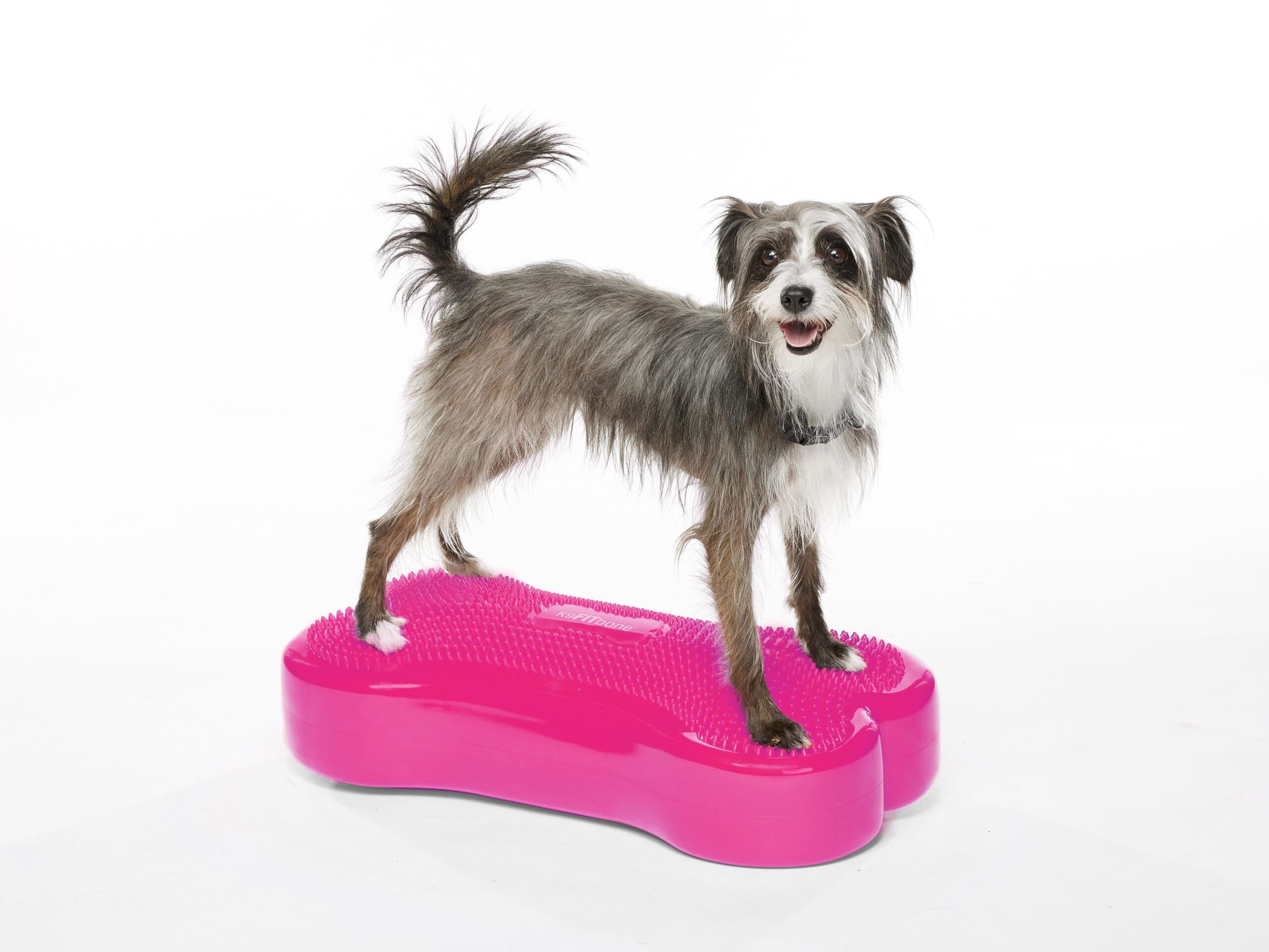 Crouton_FitBone_Regular_1131-edit-RAZZLEBERRY-min_7c5006a7-dbea-4da4-8b25-e4244608f809.jpg