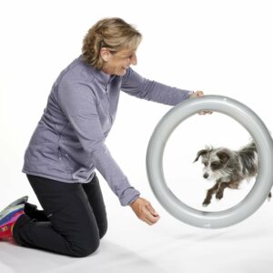 Stabilisierungsring Donut Holder – FitPAWS | Durchm. innen 46cm/aussen 61cm