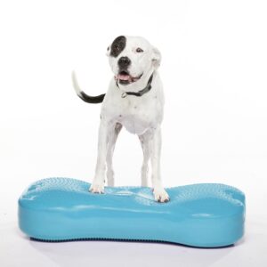 K9FITbone GIANT türkis – FitPAWS | 89x38x18 cm