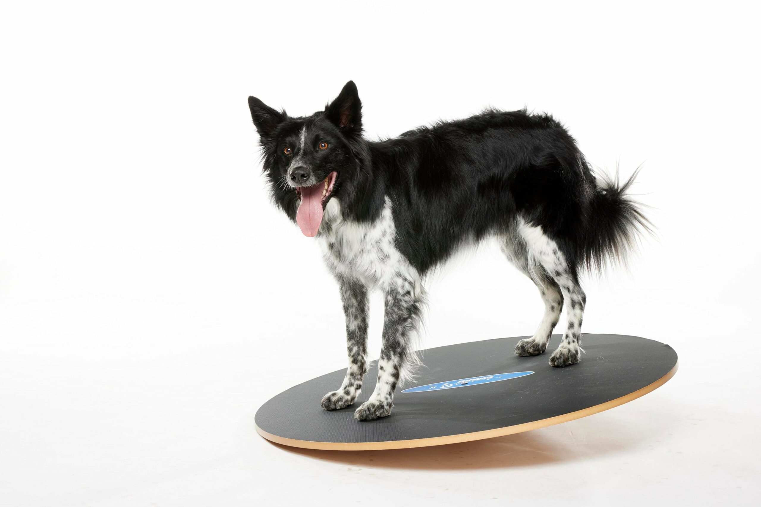 Flik_WobbleBoard36__0641-min_1.jpg