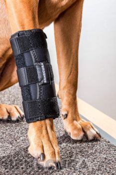 Karpalgelenk-Bandage20splint.jpg