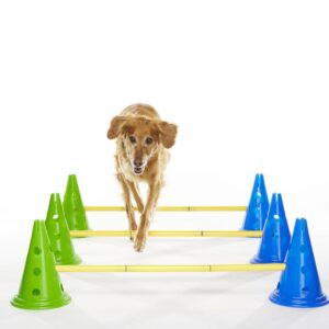 Agility Kit – FitPAWS