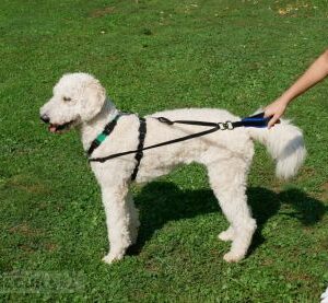 easy balance Handschlaufen-Leine  (Harmonie-Leine)