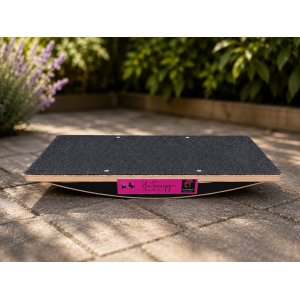 WippWerk-Kleintierwippe-f-r-Balance-Kraft-und-Spa-f-r-den-Hund.942120t.jpg